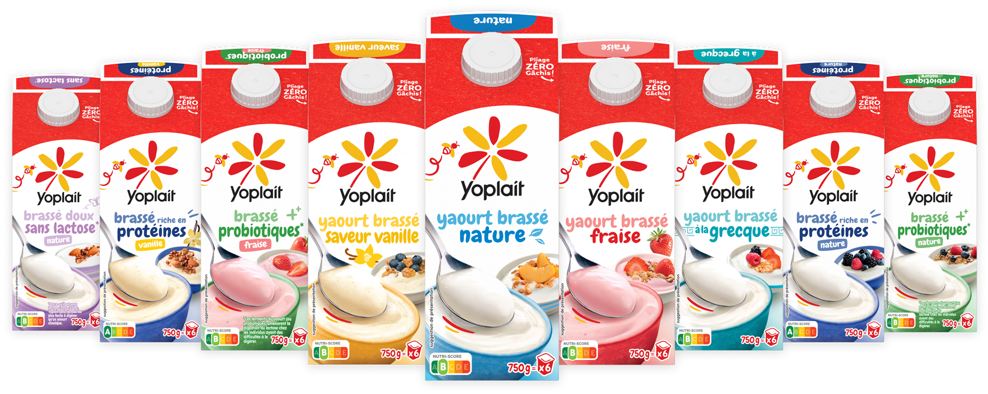 Produits Yoplait en Brique