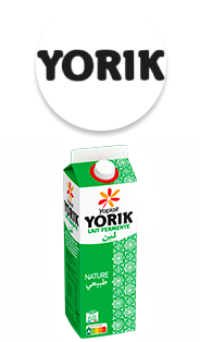 Marque Yoplait Yorik